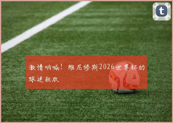激情呐喊！维尼修斯2026世界杯的球迷狂欢