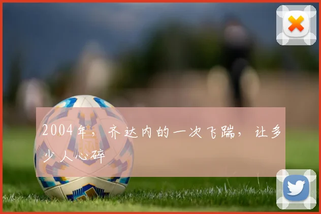 2004年,齐达内的一次飞踹,让多少人心碎