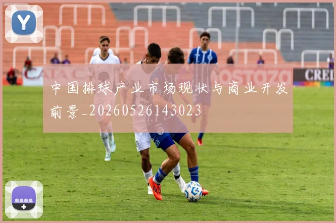 中国排球产业市场现状与商业开发前景_20260526143023