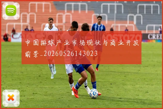 中国排球产业市场现状与商业开发前景_20260526143023