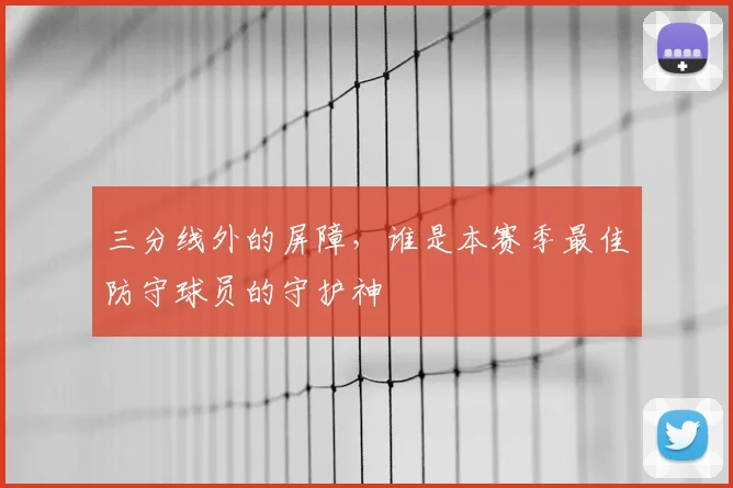 三分线外的屏障,谁是本赛季最佳防守球员的守护神