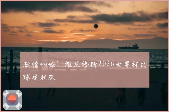 激情呐喊!维尼修斯2026世界杯的球迷狂欢