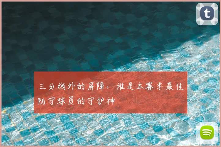 三分线外的屏障,谁是本赛季最佳防守球员的守护神