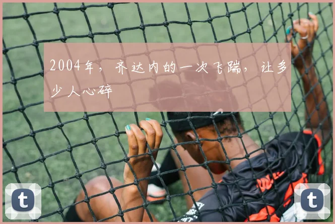 2004年，齐达内的一次飞踹，让多少人心碎