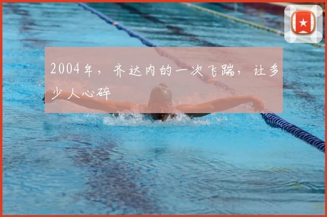 2004年，齐达内的一次飞踹，让多少人心碎